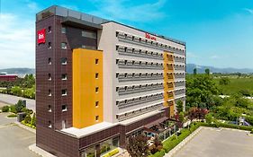 Ibis Bursa